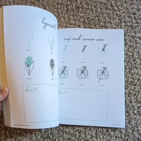 Botanical Line Drawing 200 Step-by-step cacti, leaves, flowers, succulents - Picture 15 of 16